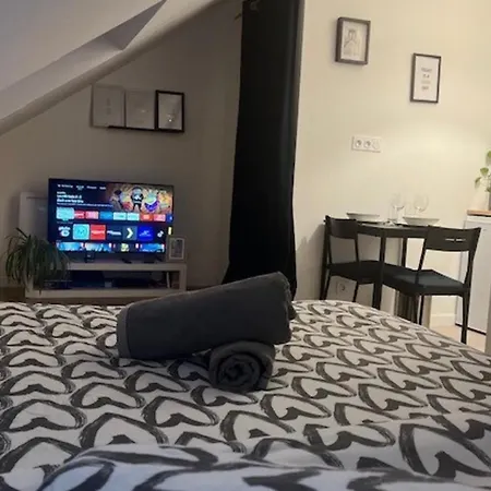 Cosy Rent Station Tv Wifi 公寓 *